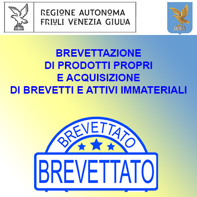 friuli-venezia-giulia-BREVETTAZIONE-DI-PRODOTTI-PROPRI-E-ACQUISIZIONE-DI-BREVETTI-E-ATTIVI-IMMATERIALI.jpg