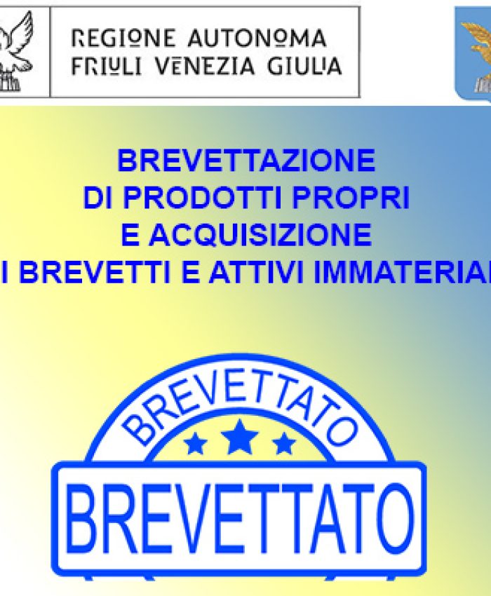 friuli-venezia-giulia-BREVETTAZIONE-DI-PRODOTTI-PROPRI-E-ACQUISIZIONE-DI-BREVETTI-E-ATTIVI-IMMATERIALI.jpg