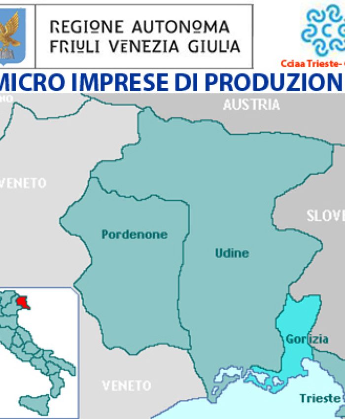 friuli venezia giulia trieste gorizia contributi micro imprese di produzione